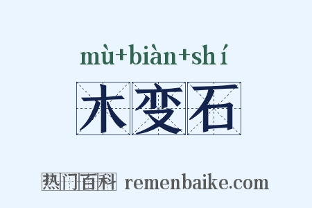 木变石是什么意思的图片